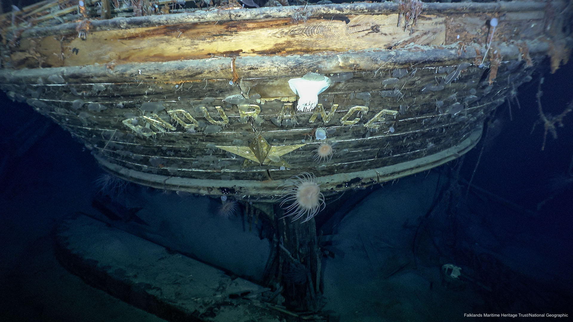 The stern of Endurance with the name and emblematic polestar (image: Falklands Maritime Heritage Trust / National Geographic)